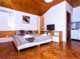 Studio Apartment Pakostane (3475-5)