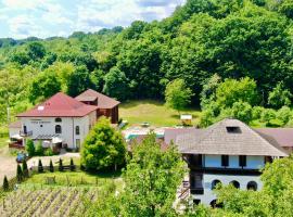 Casa Cartianu – hotel w mieście Târgu Jiu