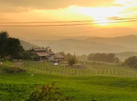 Fattoria Branciana, bed and breakfast en Rossena