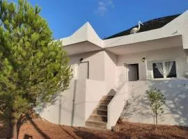 White Villa in Olive trees and Seaview to Panagia