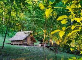 Kolibe - Robinson camp Kupa