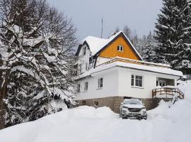 Pension Apartmány Harrachov 288, penzion v destinaci Harrachov
