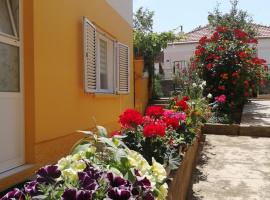 Apartment Maggi, Hotel in Preko