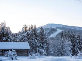 Stötens Stugor & Lägenheter, hotel near Ranchliften, Stöten