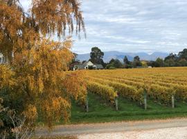 Vineyard Cottage in Blenheim on the Golden Mile, hotell i Blenheim