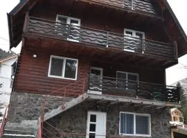 Cabana Andy