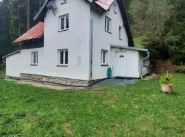 Dům u lesa - Nové Hamry, vila v Nových Hamrech