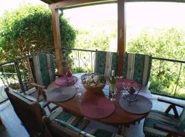 Holiday house in Kukljica with sea view, terrace, air conditioning, Wi-Fi (4572-1)
