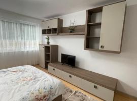 Apartament Denisa, apartment in Orşova