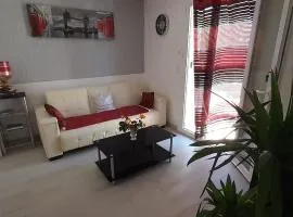 appartement bien équipé 2 chambres lit 2 place dans chaque chambre plus canapé lit 2 place, 5 personnes, terrasse bien équipé, planchas, parking gratuit sur place, a proximité de tout commerce et de cure thermal, Cadarache ,Forcalquier, gorge du verdon