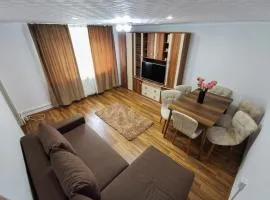 Apartament Dilama Sinaia