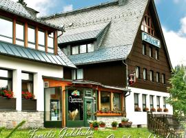 Ferienhotel Mühlleithen – hotel w mieście Klingenthal