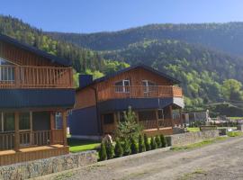 Chalet Venterivka, cabin in Tatariv