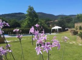 Alba Morus Bed e Breakfast sentiti a casa nel cuore della Toscana, hotel dengan kolam renang di Arezzo