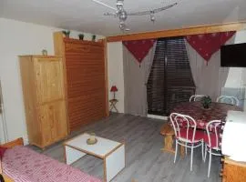 F2 Le Corbier aux pieds des pistes, commerces et esf