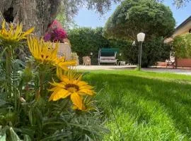 Chez Gigì mareh24