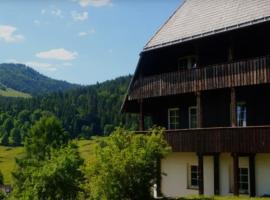 Familien- und Sportappartements Wetzel: Menzenschwand şehrinde bir otel