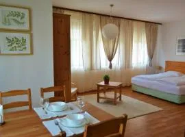 Cozy studio in "Hill Top"