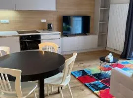Apartmán Brčálník Šumavské Stráně