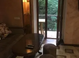 DILIJAN Apartment