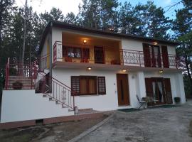 Pineta, hotel en Gračišče