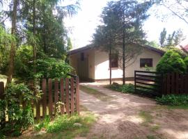 Bory Tucholskie Domek Starzyska, holiday rental in Osówek