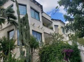 Apartments Villa Domus Marini