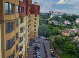 Однокімнатна квартира в центрі, на вулиці Набережна,10 з парковкою