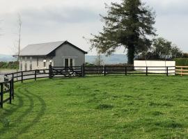 The Lodge - Rural Tipperary bordering Kilkenny, hotel v destinaci Ballingarry