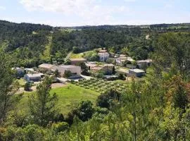 Maison au milieu des vignes