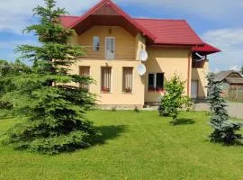 Casa Nicu