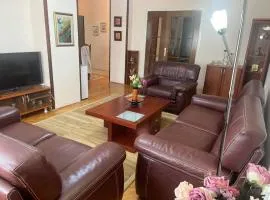 Family Apartment Ivanovic
