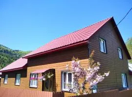 Відпочинок у Карпатах, мінеральні ванни, банний Чан!