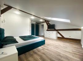 Мансардні апартаменти в центрі міста