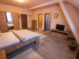 Braun Residence, apartmán v destinácii Săcele