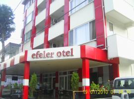 Efeler Otel โรงแรมในเอเดรมิท