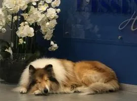 4 hotel in Olbia 4 hotel in Olbia