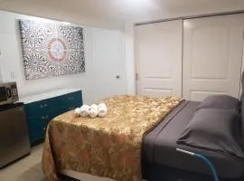 1161 Studio 2 Main Miami