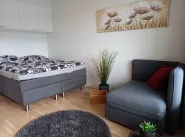 Lutakko Apartment 2 with free parking、ユヴァスキュラのバケーションレンタル