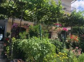 Apartman Štefanija
