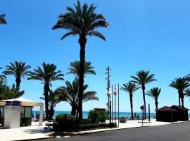 Estudio Playa del Cura