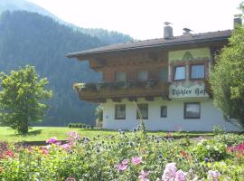 Tischlerhof, farm stay in Achensee