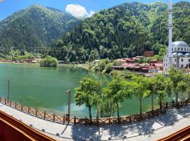 Osmanlı Suite, hotel in Uzungöl