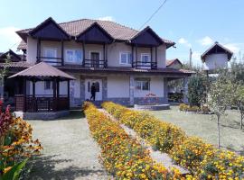 Casa Avi, hotel in Călimăneşti