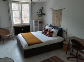 Appartement Spacieux et Cosy - Strasbourg Centre, huoneisto kohteessa Strasbourg