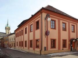 Penzion Otakar, hotel u gradu 'Polička'