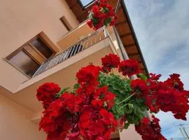 Apartments Karabegovic