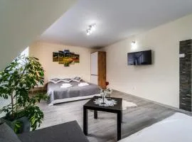 Apartament Polany
