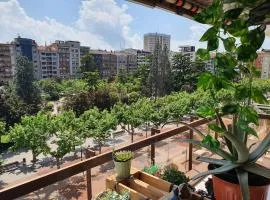 El Mirador del Espolon