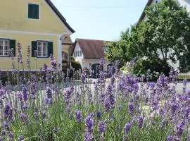 Farmer-Rabensteiner